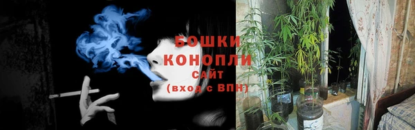 СК Бронницы