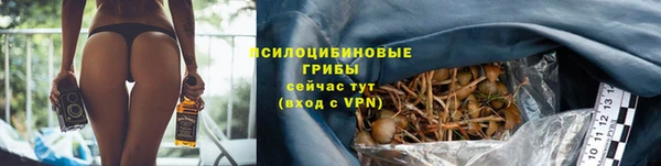 шишки Богородск