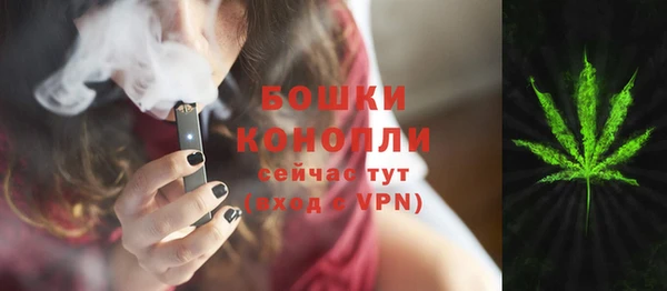 шишки Богородск