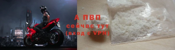 ешки Богданович