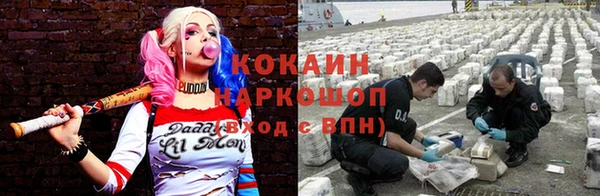 ешки Богданович