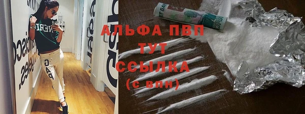 СК Бронницы