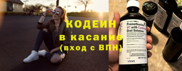 прущие грибы Туринск