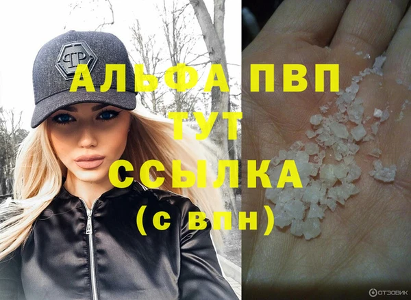 СК Бронницы